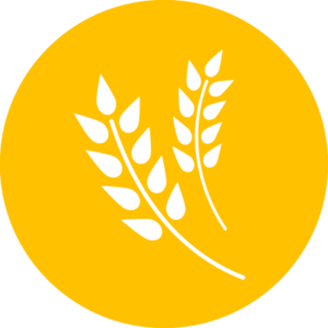 Договір продажу на елеваторі