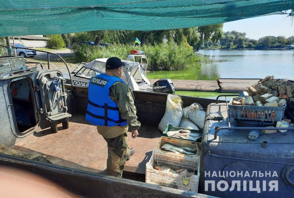Незаконний Вилов Риби — Юнікорнс