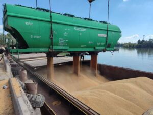 перевалка зерна