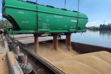 перевалка зерна