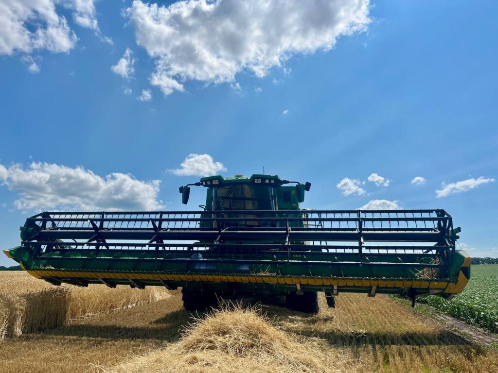Ціна На Кукурудзу — Юнікорнс