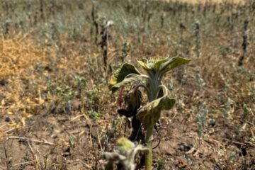 Водний дефіцит в Україні