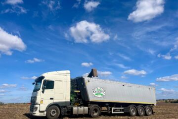 Вивантаження соняшника ТОВ ЮНІКОРНС