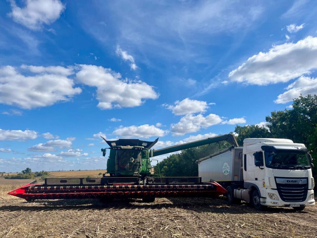 Вивантаження соняшника в зерновивіз