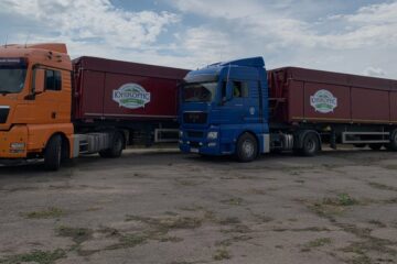 Зерновози ТОВ «Юнікорнс» на майданчику — вибір між автотранспортом і залізничними вагонами для вивезення врожаю